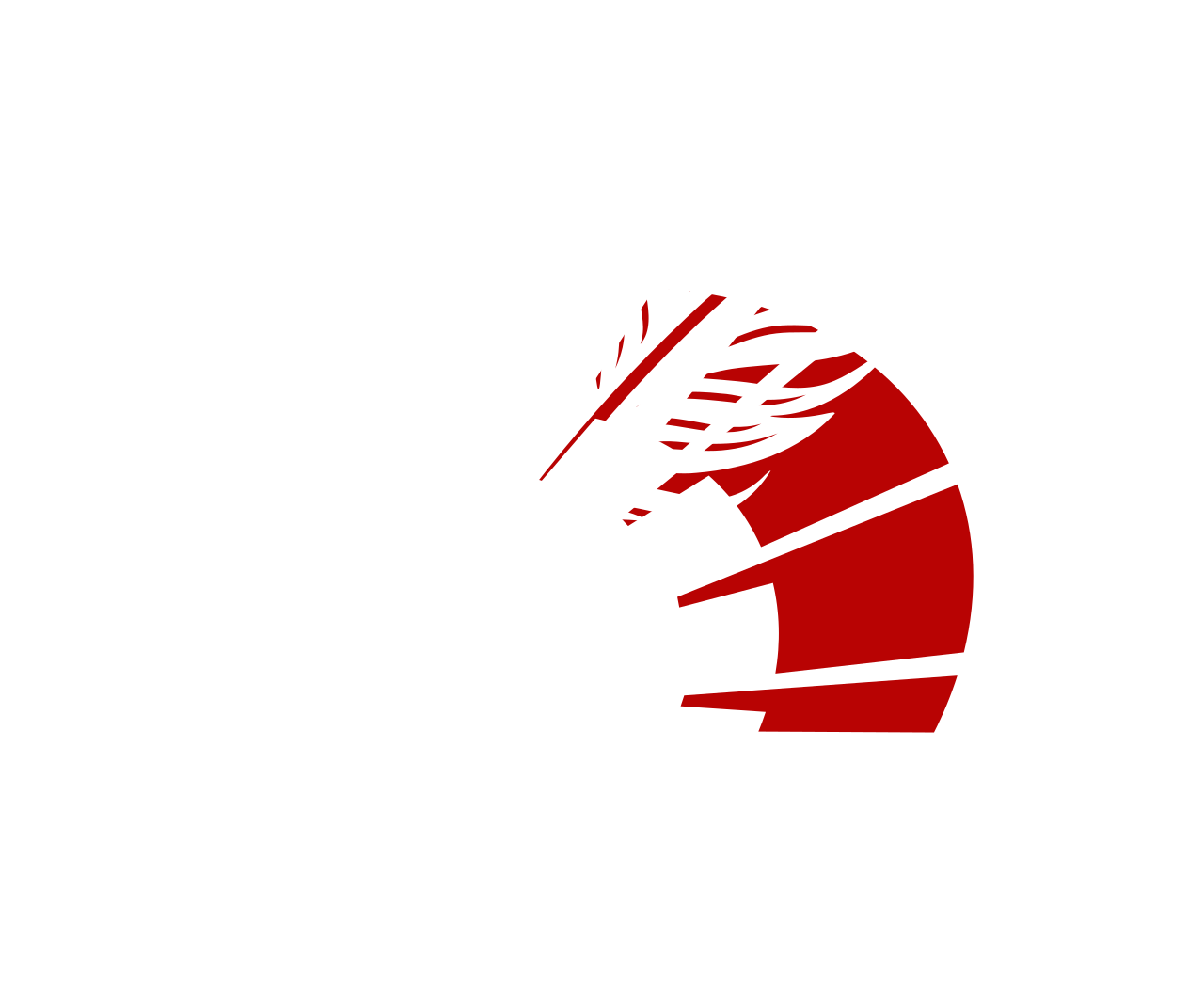 Rédaction Web Maximum